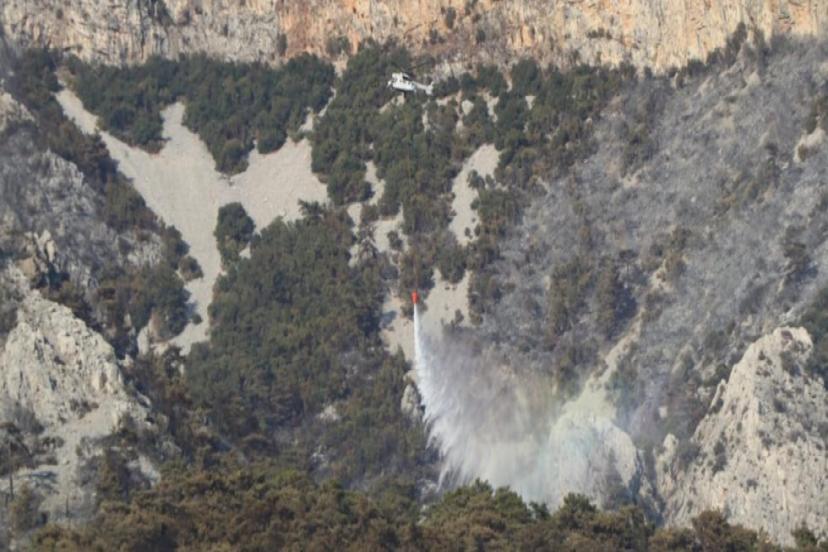 BİLECİK'TEKİ ORMAN YANGINI KONTROL ALTINA ALINDI