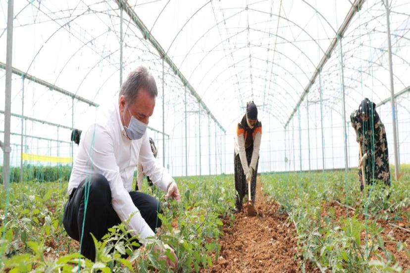 BÜYÜKŞEHİR BELEDİYESİ 2024 YILINDA ÜRETİCİNİN YANINDAYDI