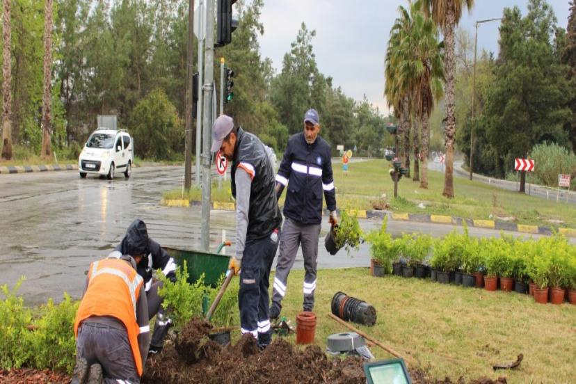 BÜYÜKŞEHİR’DEN KEMER’DE PEYZAJ ÇALIŞMASI