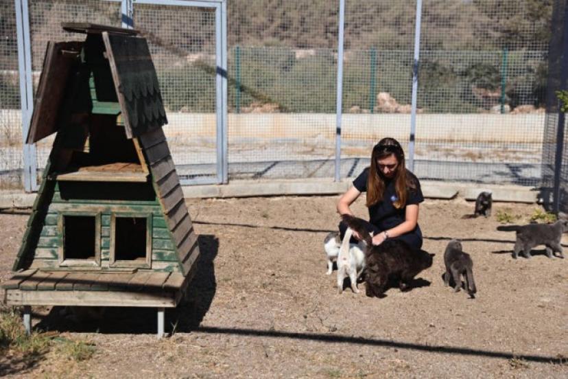 BÜYÜKŞEHİR PATİLİ DOSTLARI SAHİPSİZ BIRAKMIYOR