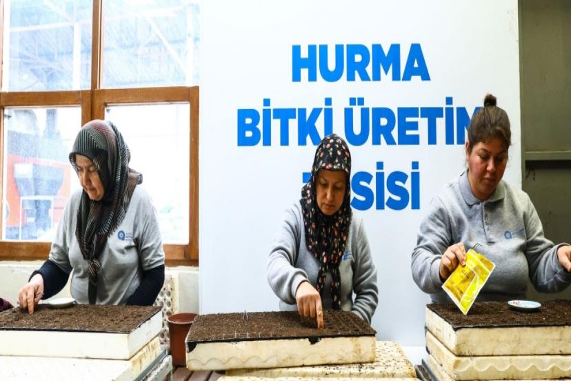 CADDELERE 4 MİLYON BAHAR ÇİÇEĞİ