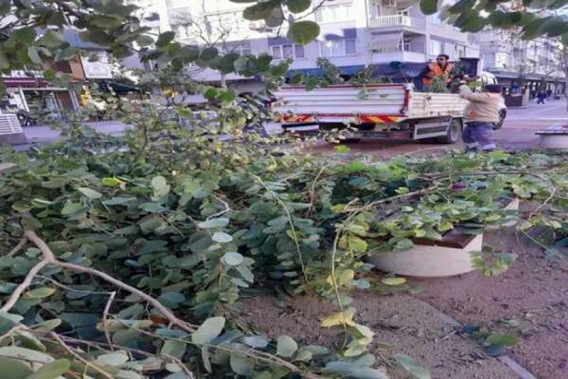 FIRTINAYLA MÜCADELE MESAİSİ