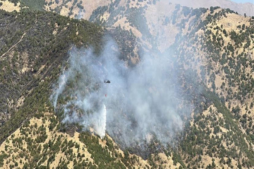 HAKKARİ'DE ORMANLIK ALANDA YANGIN