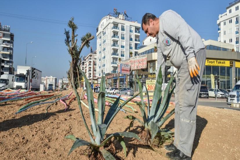 HASTANE YOLU KAVŞAĞINA RENGARENK EKOLOJİK PEYZAJ