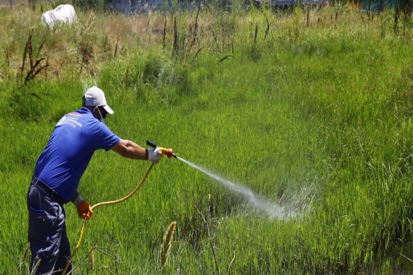 HAVALARIN ISINMASIYLA BİRLİKTE İLAÇLAMA ÇALIŞMALARI HIZ KAZANDI