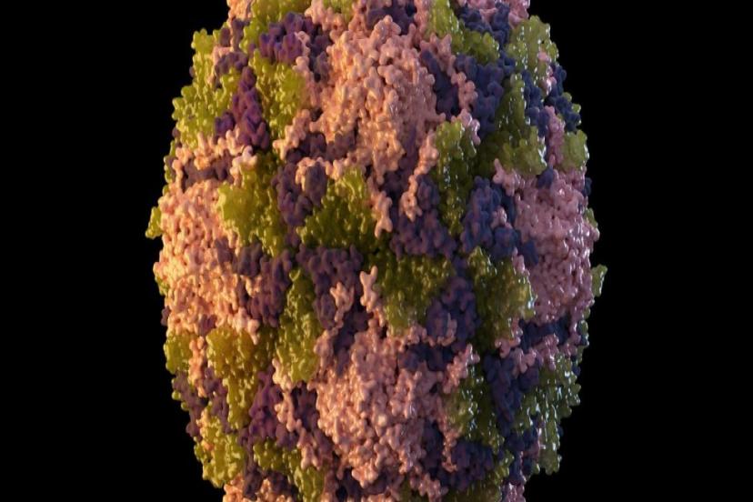 İTALYA'DA BATI NİL VİRÜSÜ VAKALARI ARTIYOR