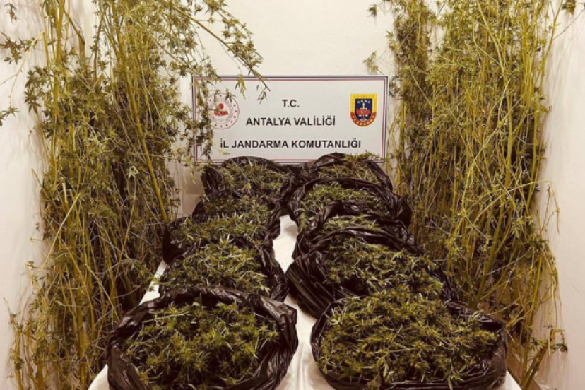 KEPEZ VE AKSU İLÇELERİNDE UYUŞTURUCU OPERASYONU