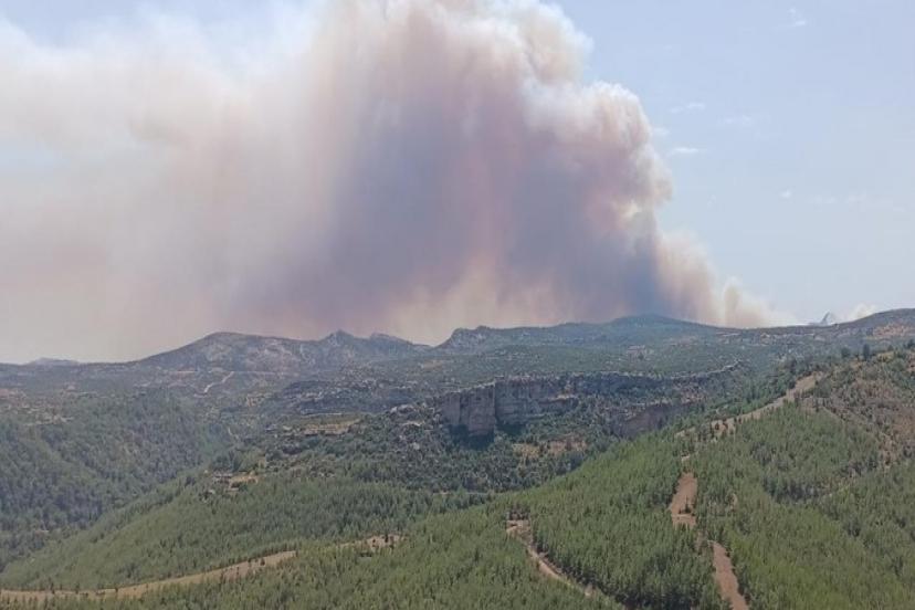 MERSİN'DE ORMAN YANGINI