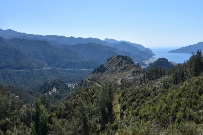 MUĞLA'DA ORMANLARA GİRİŞ YASAĞI