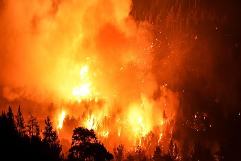 ORMAN YANGINLARININ YÜZDE 90'I İNSAN KAYNAKLI