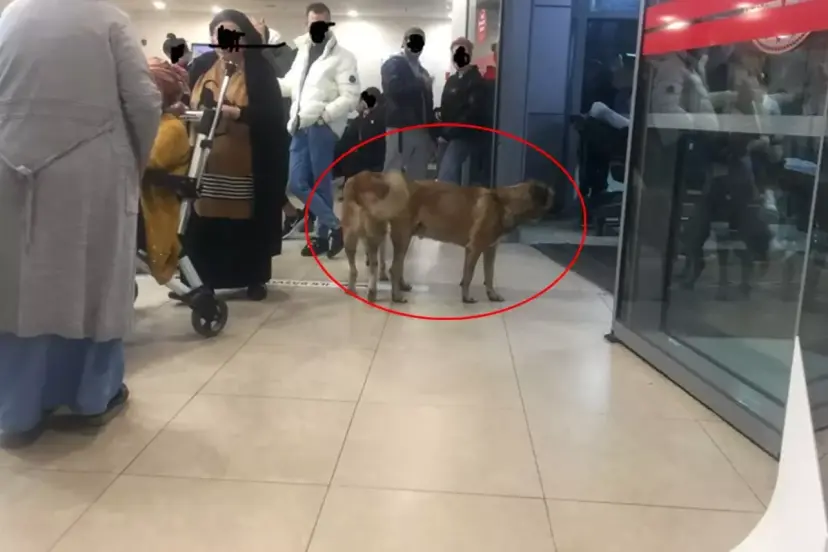 ŞİKAYETLER SON DÖNEMLERDE ARTTI