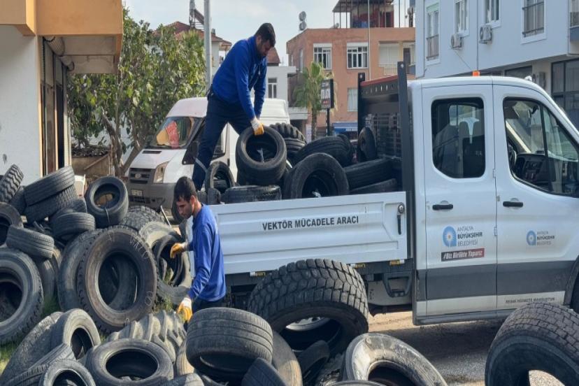 SİNEKLERİN ÜREME ALANI LASTİKLER TOPLANIYOR