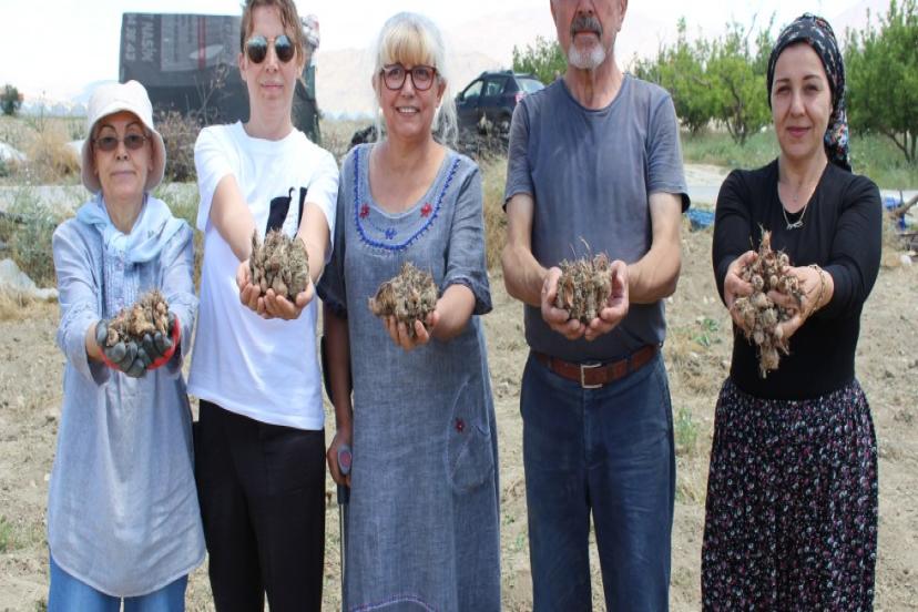 TARIM DESTEKLERİ ÜRETİCİYİ SEVİNDİRDİ