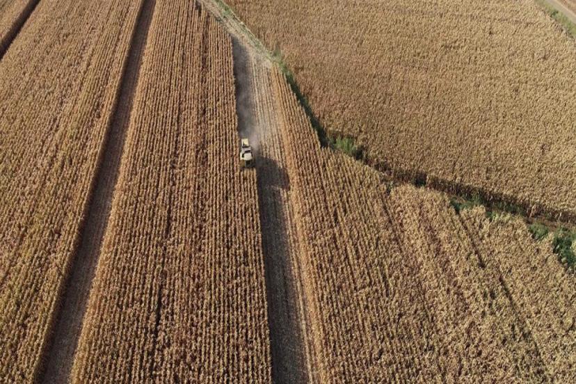 TARIM VE HAYVANCILIKTA ÖNCELİKLİ YATIRIMLAR İÇİN YOL HARİTASI ÇİZİLDİ