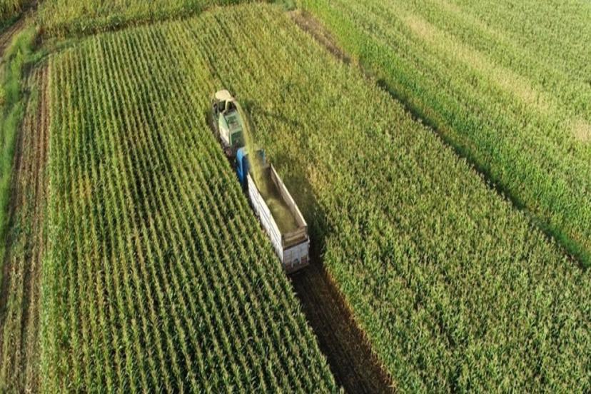 TARIMDA YATIRIM FIRSATI: IPARD III’ÜN 10’UNCU BAŞVURU ÇAĞRISI AÇILDI