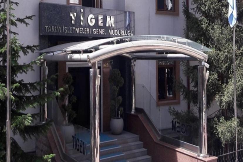 TİGEM 69 ZİRAAT MÜHENDİSİ ALACAK