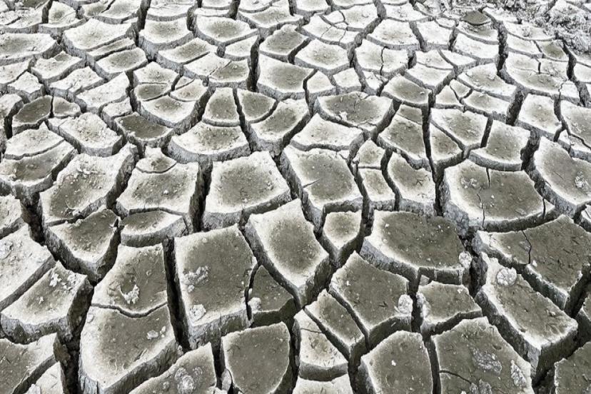 TÜRKİYE'DE 'SU YILI' KURAK GEÇTİ