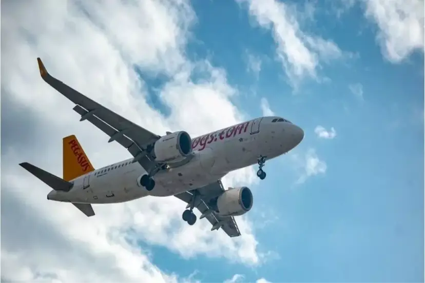 UÇAKTA ERKEN DOĞAN BEBEK KURTARILMADI