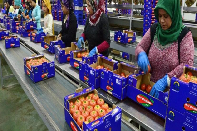 UKRAYNA’DAN TARIMA ANTI-DAMPING DARBESİ: ANTALYA ENDİŞELİ