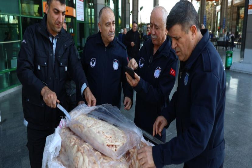 ZABITA EKİPLERİ OTOBÜSLE GÖNDERİLEN 300 KG SAKATATA EL KOYDU